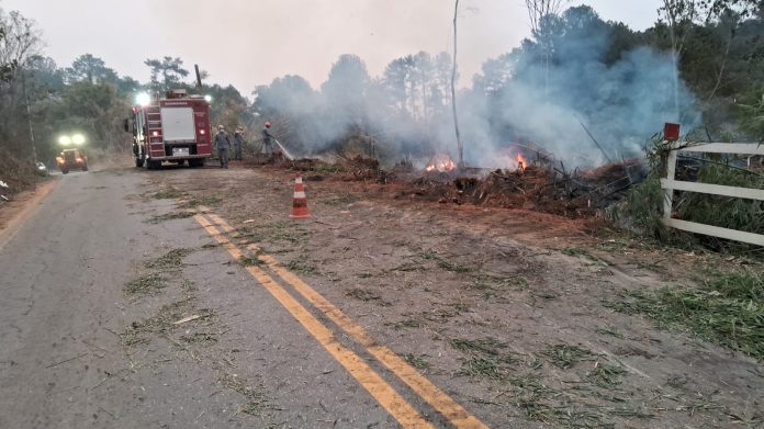 incêndios criminosos